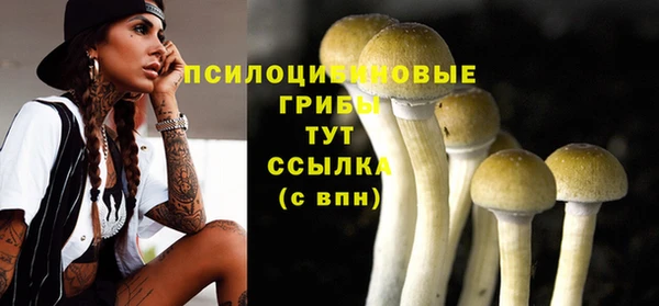 твердый Белокуриха