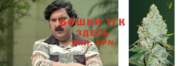 стафф Беломорск