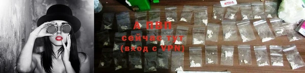 стафф Беломорск