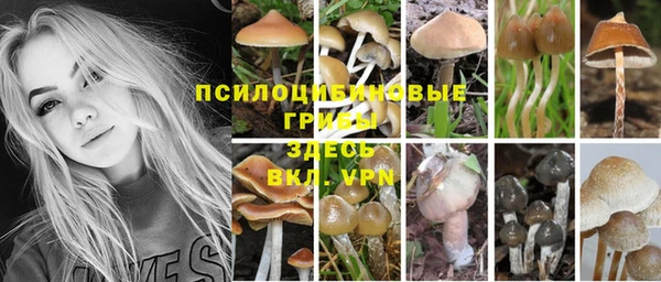 стафф Беломорск